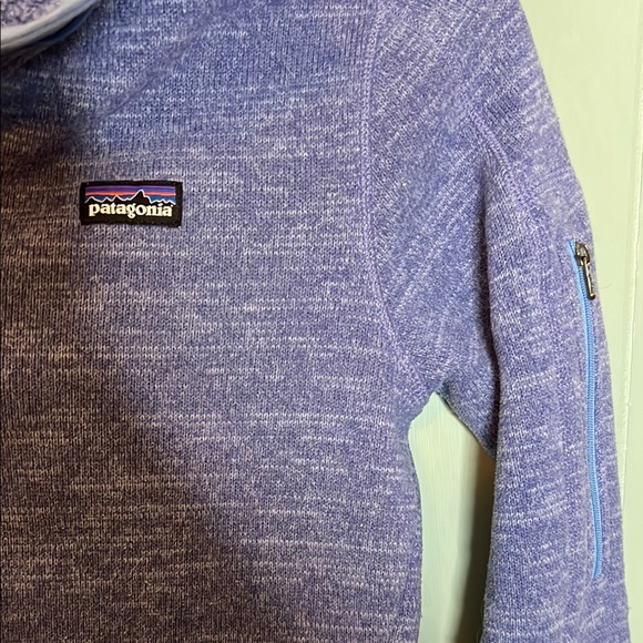 Patagonia Blue/ purple Fitted Long Sleeve Polo Sweatshirt - Picture 3 of 4